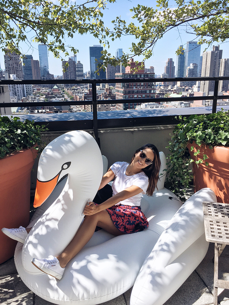 Hudson Hotel Roof Top Swan